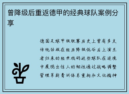 曾降级后重返德甲的经典球队案例分享