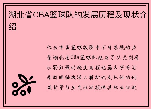 湖北省CBA篮球队的发展历程及现状介绍